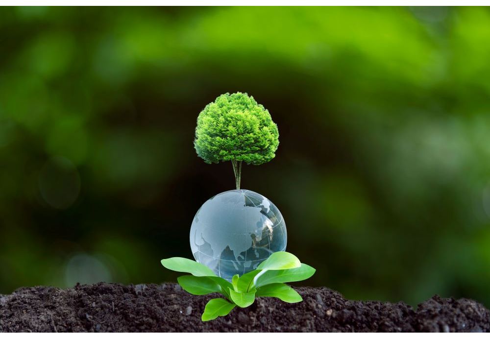 Podpora obnoviteľného tepla: vplyv kotlov na biomasu na emisie CO₂